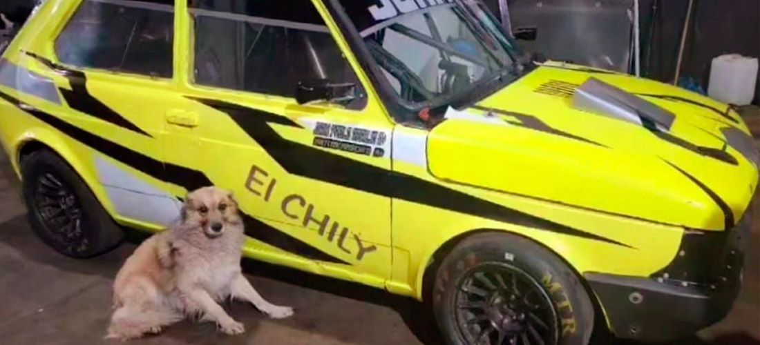 JUAMPY ARAUJO VUELVE CON UN INVITADO BICAMPEÓN: MATÍAS MASCHIO